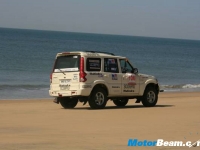 thumbs Scorpio Desert Storm (7) photo